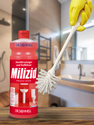 Sanitară, baie de baie și toaletă