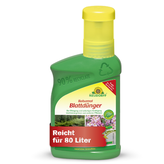 Eine grüne Kunststoffflasche von Neudorff Shop Balsamol Blattdünger mit gelbem Verschluss; geeignet für 80 L, ideal für Nadelgehölze und Immergrüne, und hergestellt aus 90% recyceltem Kunststoff.