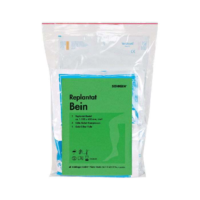 Replantat Bein