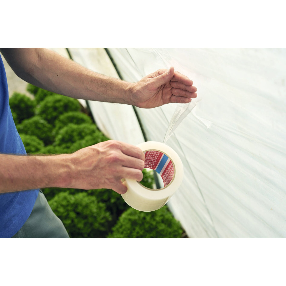 tesa 4646 Gewächshaus-Reparaturband, PE, 33 m x 50 mm, transparent – Anwendung