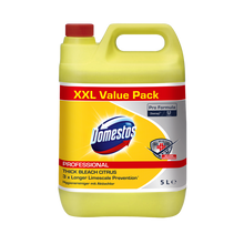 Domestos Pro Formula Citrus Fresh, detergent de igienă cu prospețime de citrice