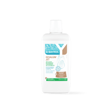 BAYROL Desalgin® JET Concentrat de algicid de încredere împotriva tuturor tipurilor de alge