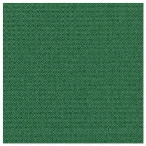 Un material pătrat, verde, cu o suprafață fin structurată și o cusătură orizontală slabă, la fel de elegant ca PAPSTAR 50 șervețele "ROYAL Collection" 1/4-pliate 40 x 40 cm verde de la PAPSTAR GmbH.