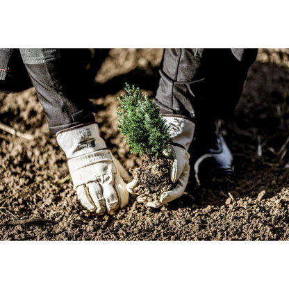 Mănuși din piele de vacă integrală NITRAS, culoare naturală / maro, bumbac EN 388 | Pachet (12 perechi)