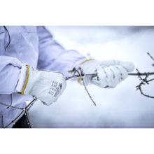NITRAS DRIVER WINTER, mănuși din piele de vacă integrală, gri