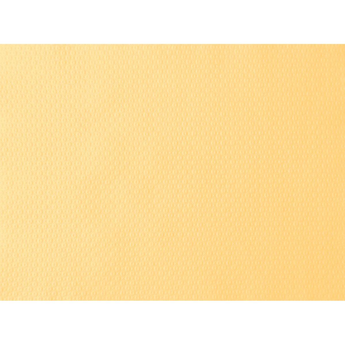 Die Nahaufnahme des cremefarbenen Papier-Tischsets 30x40 cm der Duni GmbH zeigt eine dezente, gleichmäßig über die gesamte Fläche verteilte Noppenstruktur - ideal für Feste und Veranstaltungen. Gleichmäßiger Hintergrund, geeignet für Packungen mit 500 Stück.