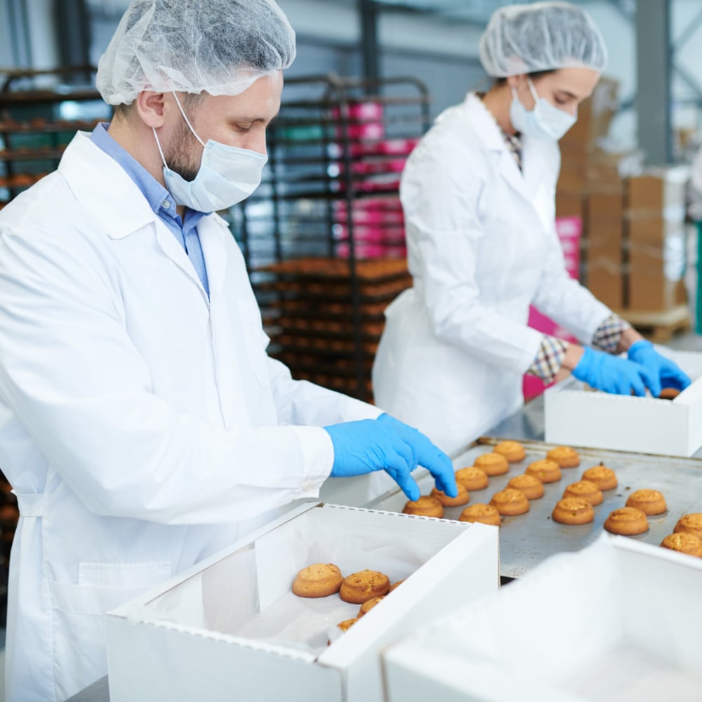 Zwei Personen mit Haarnetzen, Masken, Laborkitteln und KleenGuard® G10 FleX Nitril-Handschuhen (Kimberly-Clark GmbH) verpacken in einem Lebensmittelverarbeitungsbetrieb auf einem Tisch aus Edelstahl Backwaren in weiße Kartons.