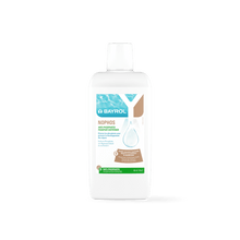 BAYROL Nophos 1 L Pentru îndepărtarea și prevenirea fosfaților din apa piscinei