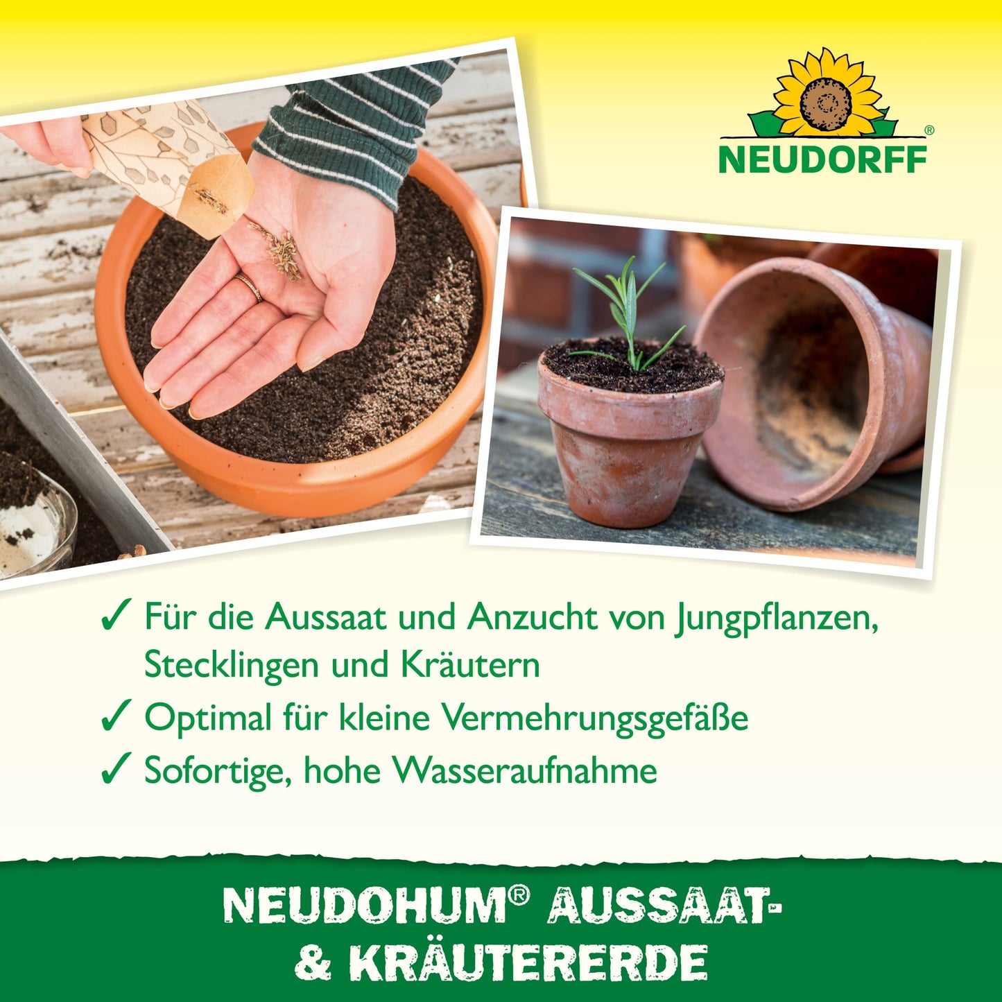 O mână umple cu o lingură de lemn un mic ghiveci de teracotă cu NeudoHum Aussaat- & KräuterErde de la Neudorff Shop. Jos, o plantă încolțită se află într-un alt ghiveci, în timp ce un text în germană descrie cum acest pământ ajută la înmulțirea florilor și legumelor.