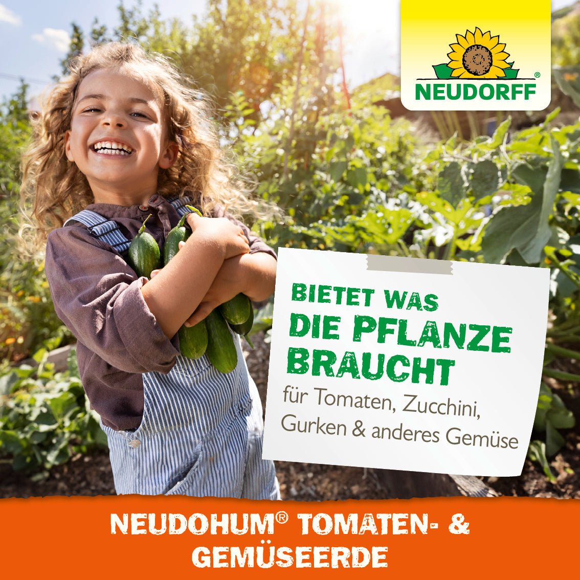 Un copil zâmbitor într-o grădină ține dovlecei - legume proaspete de vară. În spatele lui, plante verzi prosperă. Pe un semn scrie: "NeudoHum Tomaten- & GemüsesErde - oferă totul pentru roșii, dovlecei, castraveți și alte legume." Logo-ul Neudorff Shop este în colțul din dreapta sus.