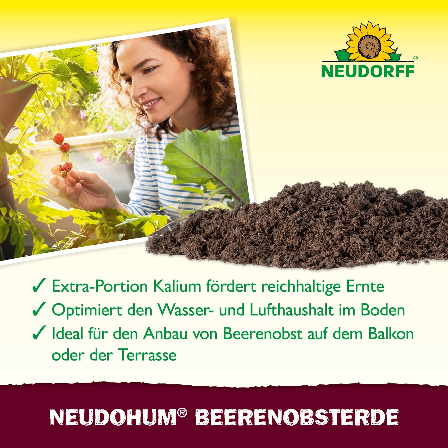 Eine Person erntet rote Beeren aus einem Topf auf dem Balkon. Im Vordergrund ist ein Haufen Erde zu sehen. Der Text hebt die NeudoHum BeerenobstErde aus dem Neudorff Shop hervor, die das Wachstum von Beeren und Früchten mit Kalium und optimaler Bodenqualität fördert.