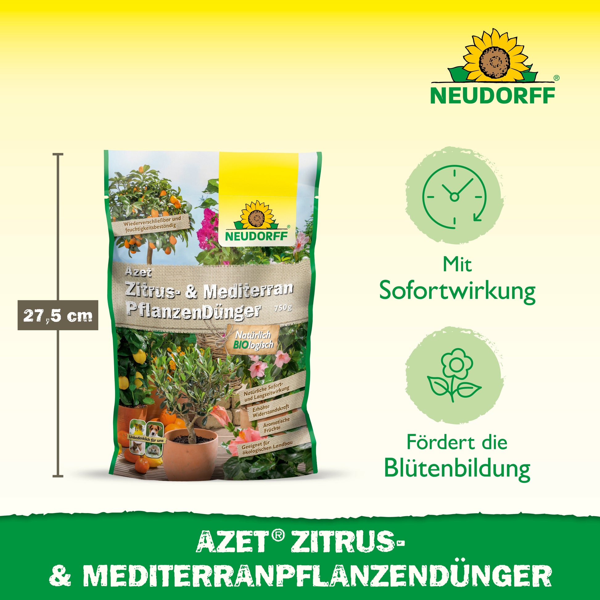 Ein 27,5 cm hoher Beutel Azet Zitrus- & MediterranpflanzenDünger von Neudorff Shop wird mit Icons für schnelle Wirkung und Blumenwerbung gezeigt. Das grüne und gelbe Branding hebt Zitruspflanzen und mediterrane Kübelpflanzen hervor.
