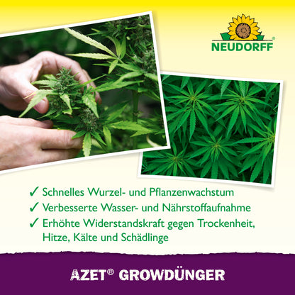 Eine Person inspiziert eine gesunde Cannabispflanze, die Azet GrowDünger von Neudorff Shop hervorhebt. Der deutsche Text beschreibt das verbesserte Wachstum und die Widerstandsfähigkeit der Pflanze. Oben ist das Neudorff-Logo zu sehen.