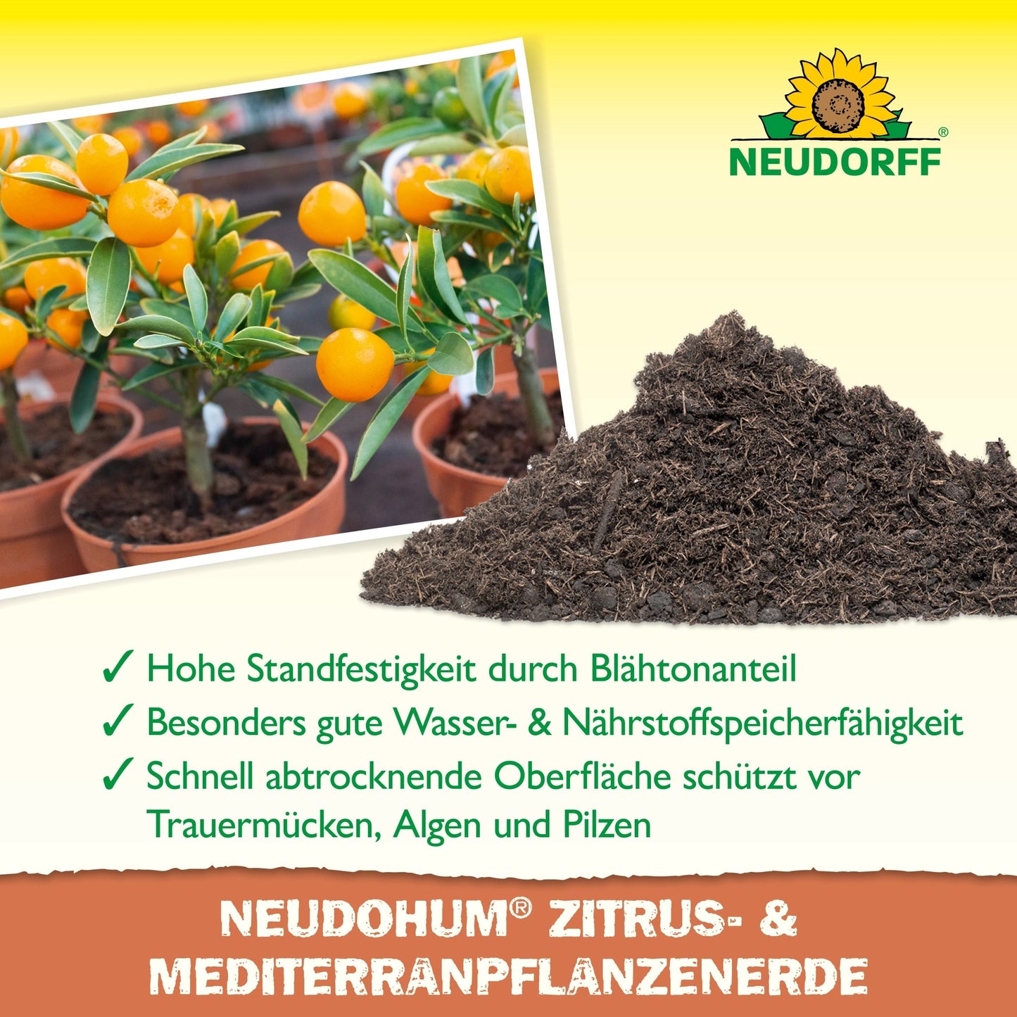 NeudoHum Sol pentru plante citrice și mediteraneene