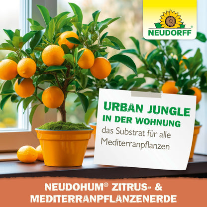 NeudoHum Sol pentru plante citrice și mediteraneene