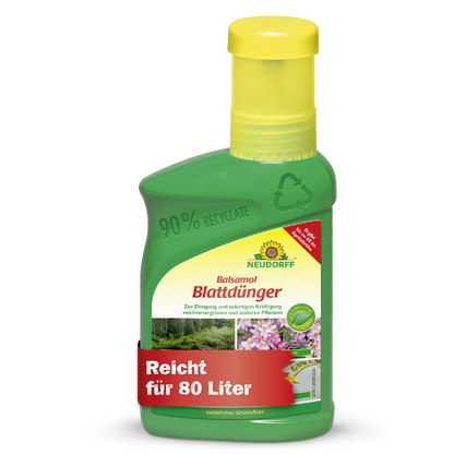 Eine grüne Kunststoffflasche von Neudorff Shop Balsamol Blattdünger mit gelbem Verschluss; geeignet für 80 L, ideal für Nadelgehölze und Immergrüne, und hergestellt aus 90% recyceltem Kunststoff.