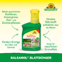 Eine grüne Flasche Neudorff Shop Balsamol Blattdünger steht auf einem gelben und grünen Hintergrund, mit Text, der seine Vorteile für Immergrüne, Nadelgehölze und schnelle Nährstoffaufnahme hervorhebt.