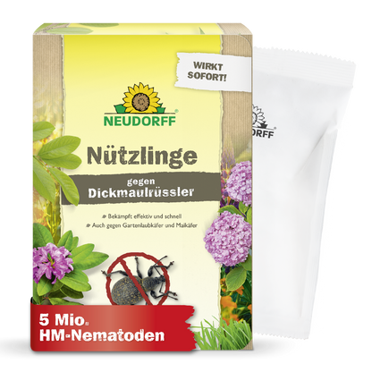 Eine Schachtel Neudorff Shop Nützlinge gegen Dickmaulrüssler zur Bekämpfung des Reblausbefalls mit Pflanzen, Insekten und Produktinformation. Ein weißes Tütchen auf der rechten Seite zeigt an, dass 5 Millionen HM-Nematoden enthalten sind.