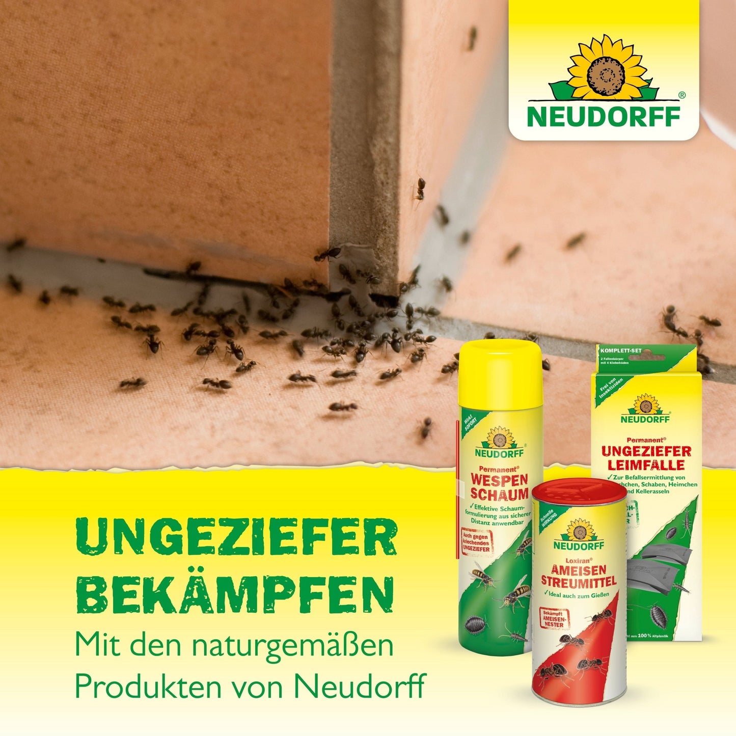 Un grup de furnici se târăște pe o podea cu gresie. În fața lor sunt expuse trei produse Doppelfliegenklatsche din Neudorff Shop. Textul german promovează soluții naturale de combatere a dăunătorilor, fără pete.
