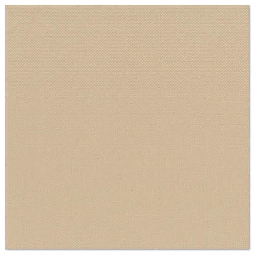 Un șervețel pătrat, bej deschis de la PAPSTAR GmbH, "ROYAL Collection" (20 șervețele, 1/4 pliere, 40x40 cm), prezintă un model discret de grilaj și margini curate din țesut premium pe un fundal simplu.