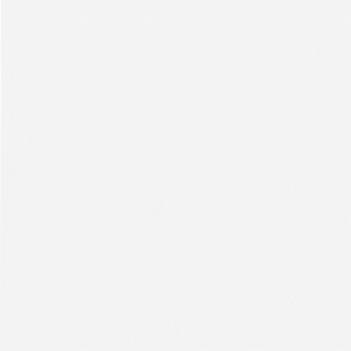 Un fundal simplu, monocrom, alb - ca la cele PAPSTAR 50 de șervețele, din două straturi 1/4 pliere 40 cm x 40 cm de la PAPSTAR GmbH - fără modele sau caracteristici izbitoare.