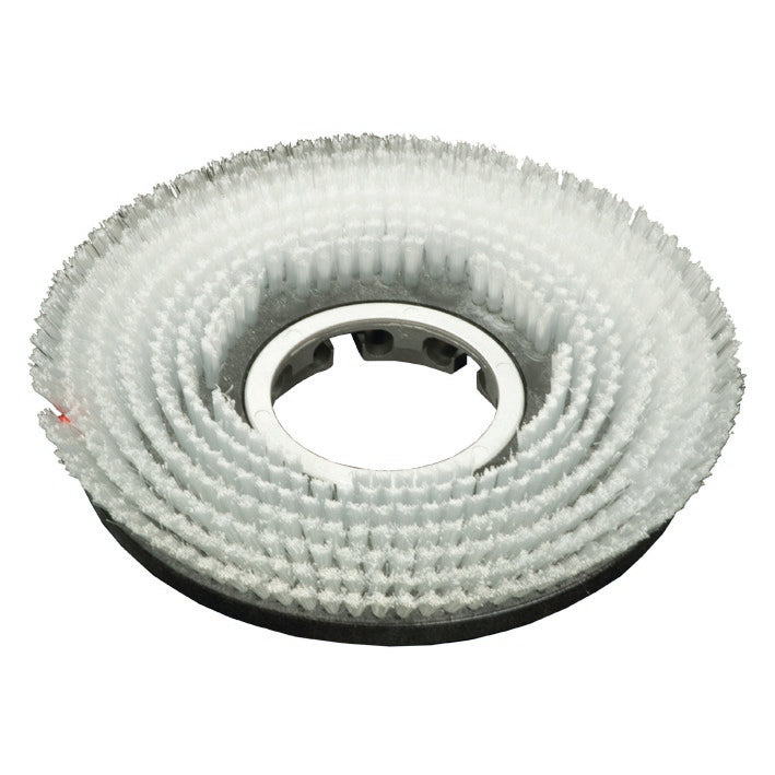 Peria de frecat beton spălat (35 cm) de la Diversey Deutschland GmbH & Co. OHG cu peri tăiați în unghi se potrivește pe swingo 2500 și este ideală pentru curățarea suprafețelor din beton spălat. Livrare: 1 bucată per pachet.