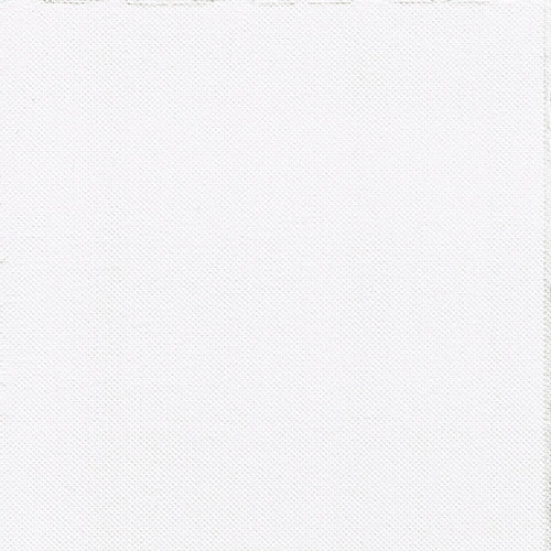 O prim-plan al celor PAPSTAR 30 de șervețele, cu 2 straturi „PUNTO” (38x38 cm) de la PAPSTAR GmbH arată un material fin, cu structură de grilaj alb – ideal pentru decorarea elegantă a meselor. Fără modele sau modele vizibile.
