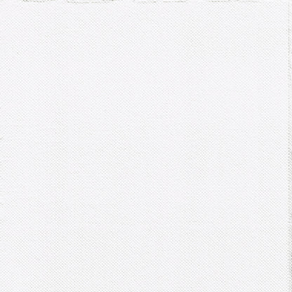 O prim-plan al celor PAPSTAR 30 de șervețele, cu 2 straturi „PUNTO” (38x38 cm) de la PAPSTAR GmbH arată un material fin, cu structură de grilaj alb – ideal pentru decorarea elegantă a meselor. Fără modele sau modele vizibile.