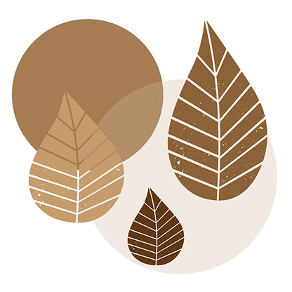 Cele 20 de șervețele (40 x 40 cm, 3 straturi, 1/4 pliuri) de la PAPSTAR GmbH prezintă trei frunze maro cu vene albe peste cercuri bej și maro pe un fundal alb într-un design geometric simplu.