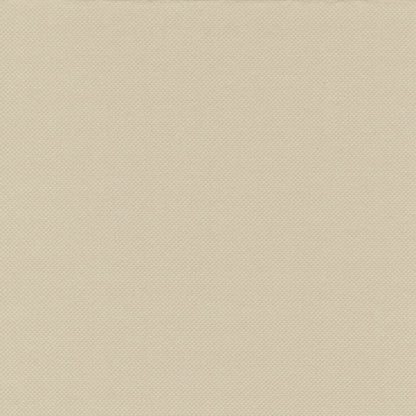 Un prim-plan al șervețelelor bej PAPSTAR 100 „ROYAL Collection“ al PAPSTAR GmbH arată o structură fin țesută. Aceste șervețele luxoase în format 40 x 40 cm sunt fabricate din material de înaltă calitate și sunt netede și uniforme – perfecte pentru medii elegante.