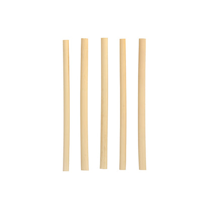 Cinci paie de cocktail din trestie "pure" (15 cm, Ø 7 mm) de la PAPSTAR GmbH sunt așezate vertical pe un fundal alb simplu și evidențiază paiele elegante și ecologice, biodegradabile.