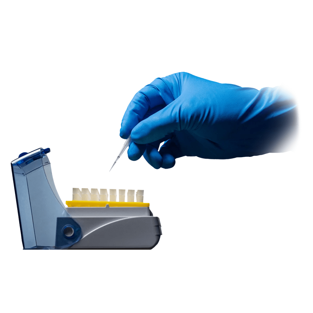 O mână cu mănușă, protejată de mănușile de protecție chimică AMPri SolidSafety High Risk Pro Nitril tip A de la AMPri Handelsgesellschaft mbH, ține o pipetă deasupra unei serii de tuburi mici albe de probă într-o tavă de laborator. Tava este parțial acoperită cu un capac albastru transparent care asigură un spațiu de lucru organizat. Fundalul impecabil subliniază mediul steril de laborator.