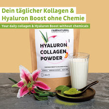 Pudră hialuronică de colagen