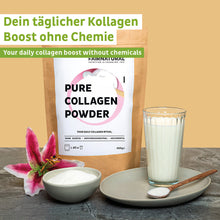 Pulbere de hidrolizat de colagen