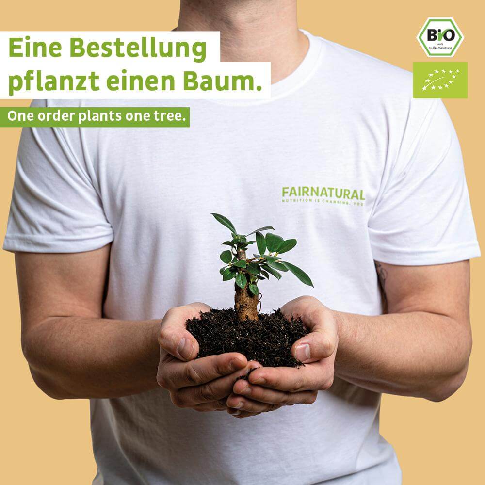 Pudră proteică vegană organică vanilie fără soia