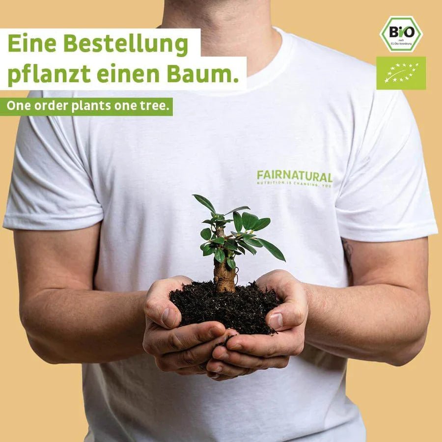 Proteine din zer organic pudră nucă de cocos