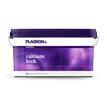 Un recipient dreptunghiular din plastic de 10 kg, produs de Bertels B.V. și purtând inscripția „Plagron Calcium Kick”, are un capac violet și un mâner cu efect de degrade; acest amendament mineral îmbunătățește structura solului și acționează ca regulator al pH-ului.