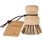 Peria de vase ENA Living cu peri duri de la Abena Re-Seller GmbH în cutie (12 pachete) are un mâner scurt, rotund și sfoară maro cu eticheta "DISH BRUSH" - ideală pentru curățarea eficientă în bucătărie.