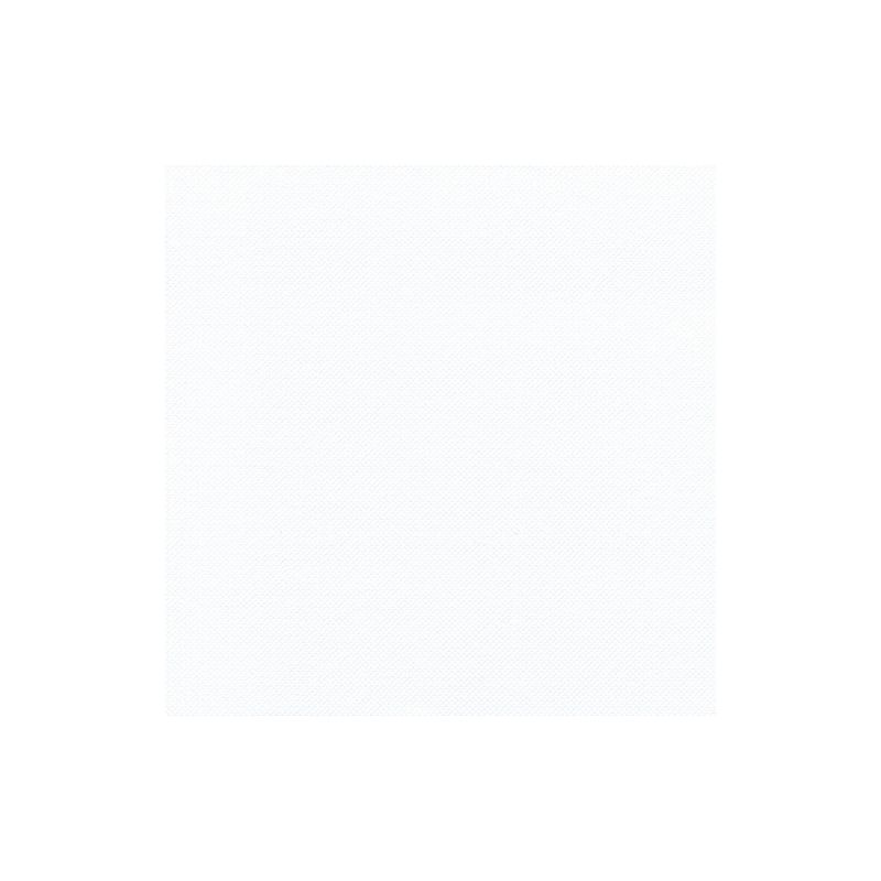 Un pătrat alb simplu cu o suprafață discret texturată umple cadrul și întruchipează eleganța șervețelelor „ROYAL Collection” de la PAPSTAR GmbH, făcându-le o alegere excepțională pentru decorul mesei.