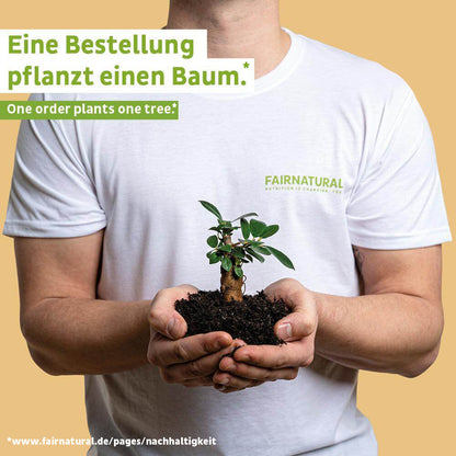 Pudră proteică vegană organică banană fără soia